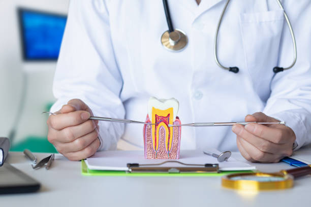 Best Emergency Wisdom Teeth Removal in Iota, LA